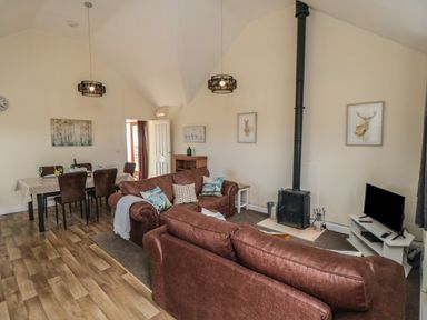 A living room with brown sofas a wood stove a dining table and chairs and a television at Curlew Cottage near Filey