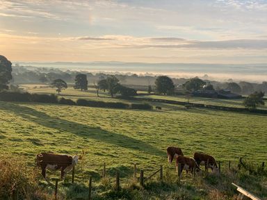 A countryside landscape with cows grazing in a field and farms in the distance at The Lookout in Longridge