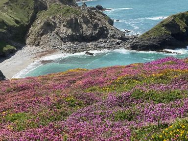 A coastal scene with purple and yellow flowers on cliffs overlooking a rocky beach and blue ocean at Bay View in Portreath