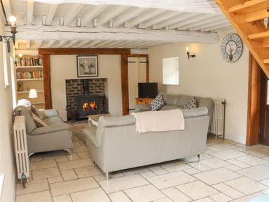 A living room with sofas and a fireplace at Orchard Barn in Wexford