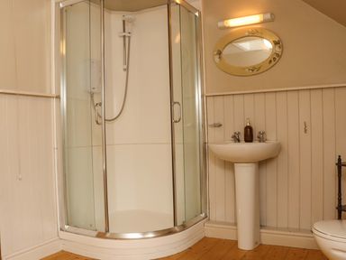 A bathroom with a shower and sink at Orchard Barn Wexford