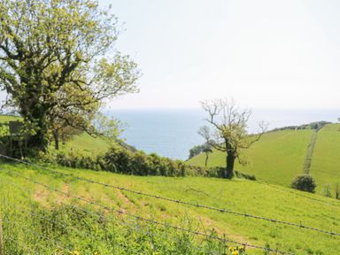A grassy hillside with trees and barbed wire fence overlooking the sea at 418 Norton Park in Dartmouth
