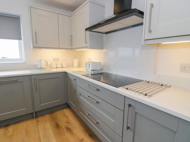 A kitchen with grey lower cabinets white upper cabinets electric stove kettle and toaster at Melin Y Plas in Llanaber