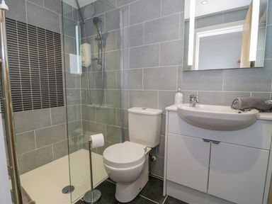 A bathroom with a shower, toilet, sink with cabinet, mirror, and rolled towel at Melin Y Plas in Llanaber