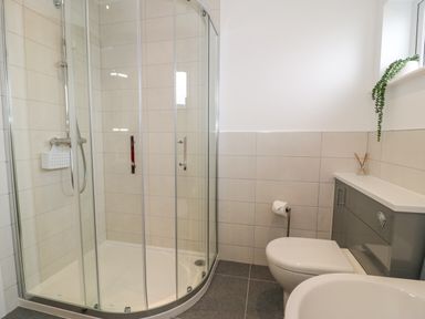 A bathroom with a curved glass shower enclosure a toilet and a grey cabinet with a plant on top at Melin Y Plas in Llanaber