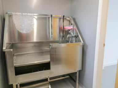 A stainless steel pet washing station with straps and shower spray in a utility room at Melin Y Plas in Llanaber
