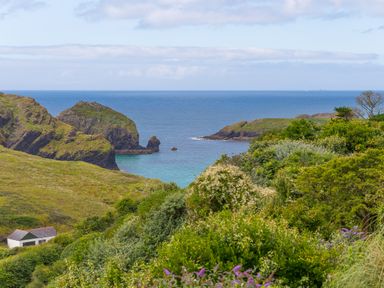 Green hills and bushes overlooking cliffs and the ocean with a small white building at Rowena in Mullion