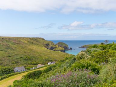 A coastal landscape with greenery flowers houses and a cliff by the sea at Rowena in Mullion