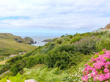 A coastal landscape with green hills bushes and pink flowers overlooking the sea at Morwenna in Mullion
