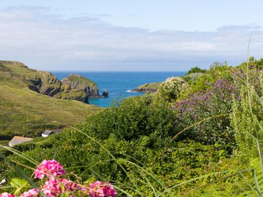 A coastal landscape with green hills bushes flowers and the sea at Verity Mullion