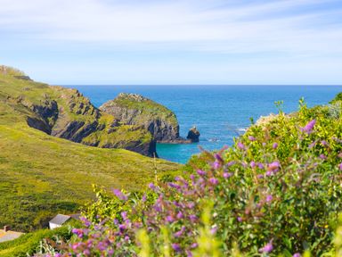 A coastal landscape with rocky cliffs green hills purple flowers and the ocean at Verity in Mullion