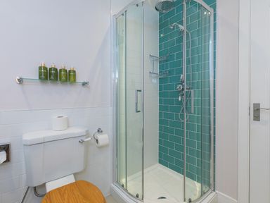 A bathroom with a shower enclosure green and white tiles a toilet with wooden seat and toiletries on a glass shelf at Daphne in Mullion
