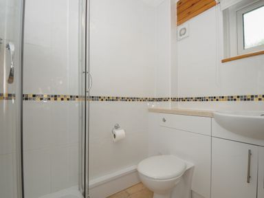 A bathroom with a shower enclosure a toilet and a sink at 37 Tamar St Ann's Chapel near Callington