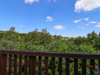 A wooden balcony railing overlooking dense green trees and bushes with a clear blue sky at 37 Tamar in St Ann's Chapel near Callington