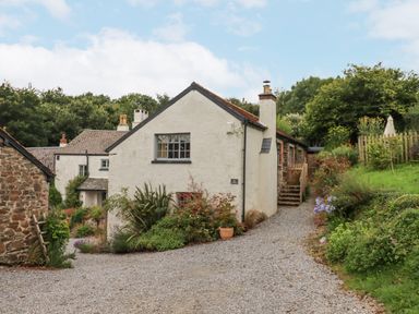 A gravel driveway leading to a white house with a garden and plants at Hole Farm Stables in Bickington near Ashburton