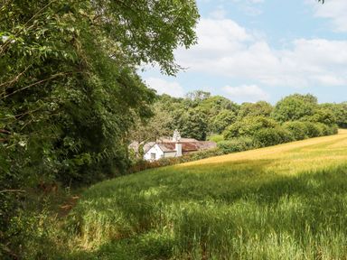 A white house surrounded by trees and fields at Hole Farm Stables in Bickington near Ashburton