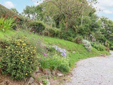 A garden with flowering plants and a gravel path at Hole Farm Stables in Bickington near Ashburton