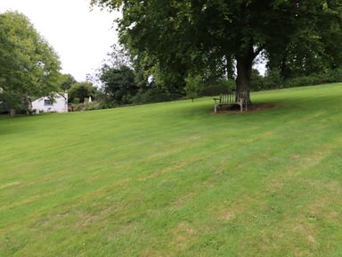 A grassy lawn with a wooden bench under a large tree and a white house in the background at Hole Farm Stables in Bickington near Ashburton
