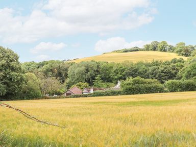 A rural landscape with a golden field a cluster of buildings and green trees at Hole Farm Stables in Bickington near Ashburton