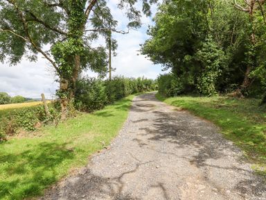 A gravel path surrounded by grass and trees at Hole Farm Stables in Bickington near Ashburton