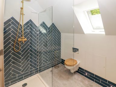 A bathroom with a walk in shower and toilet under a skylight at The Grove in Wolfsdale near Haverfordwest