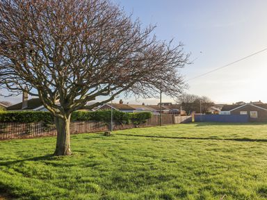 A tree on a grass field with houses and fences in the background at Villa Rose in Beadnell near Seahouses