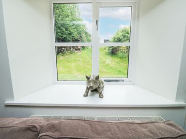 A window with a ceramic pig on the windowsill and a couch below at Ixworth Cottage in Little Woodford near Ottery St Mary