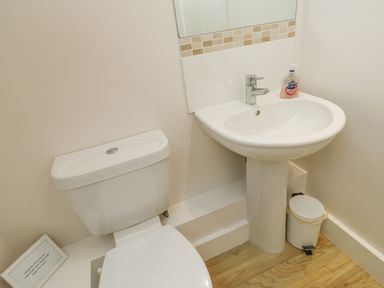 A small bathroom with a white toilet a pedestal sink with soap and a small trash bin on a wooden floor at Ixworth Cottage in Little Woodford near Ottery St Mary