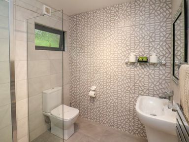 A bathroom with a toilet sink glass shower divider and geometric patterned wall at Ramson in Saltburn-By-The-Sea