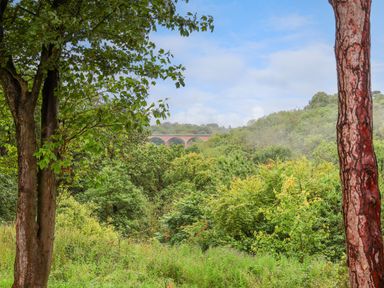 A green landscape with trees and a bridge in the background at Ramson in Saltburn-By-The-Sea