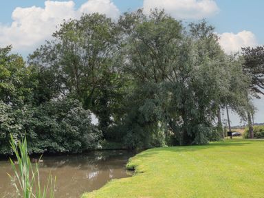 A river with trees on the bank and grass on the other side at Ramson in Saltburn-By-The-Sea