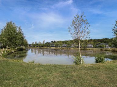 A pond surrounded by grass and trees with houses in the background at Sunset Lodge in Woodhall Spa