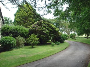 A winding paved driveway surrounded by grass and various trees and shrubs at Alston Hall in Battisborough Cross