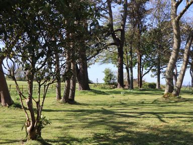 A garden with trees and grass at Alston Hall near Mothecombe Beach