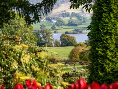 A view of green fields with sheep trees and a lake with sailboats in the distance at Bank Barn Wreay in Watermillock