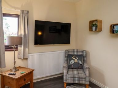 A corner of a room with a wall-mounted TV a wooden side table with a lamp a plaid armchair with a bird cushion and two wall shelves with a plant and books at Cowslip in Saltburn-By-The-Sea