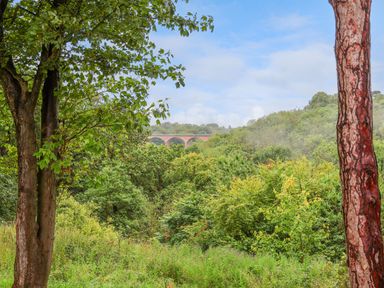 A forest scene with various trees and greenery and a red brick arched bridge in the distance at Cowslip in Saltburn-By-The-Sea