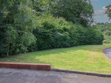 A grassy area next to a curved road with a hedge and trees behind a low brick wall at Cowslip in Saltburn-By-The-Sea