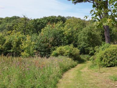 A grassy path surrounded by trees and bushes at Cowslip in Saltburn-By-The-Sea