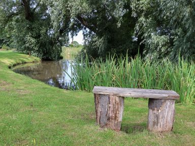 A wooden bench next to a pond with tall grass and large trees surrounding the area at Cowslip in Saltburn-By-The-Sea