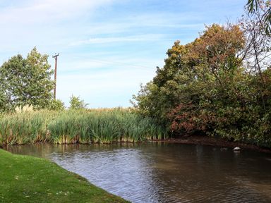A view of a pond surrounded by grass and trees at Cowslip in Saltburn-By-The-Sea