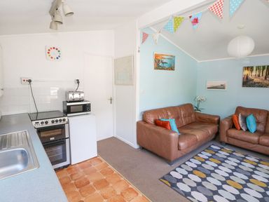 A small kitchen area with a sink stove microwave and toaster next to a living room with two brown sofas and a patterned rug at Milkwood in Elmrise Park near Llansteffan