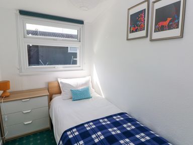 A bedroom with a single bed a blue checkered blanket a nightstand with an orange lamp and two framed pictures on the wall at Milkwood in Elmrise Park near Llansteffan