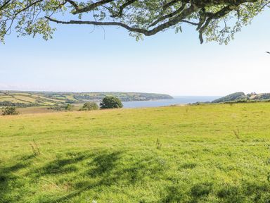A grassy field with a tree branch overhead and a coastal landscape in the background at Milkwood in Elmrise Park near Llansteffan
