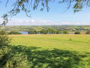 A grassy field with trees and a body of water in the background at Milkwood in Elmrise Park near Llansteffan
