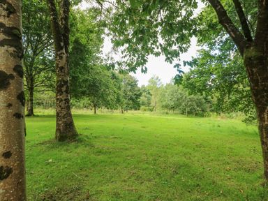 A grassy area with scattered trees in a park at Milkwood in Elmrise Park near Llansteffan