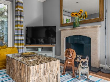 A living room with a television a fireplace and two dogs at Seascape in Kingsand