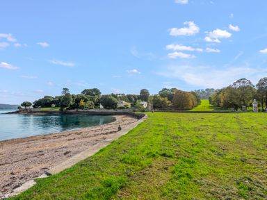 A beach with a grassy area and trees along the shore at Seascape in Kingsand