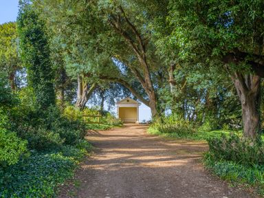 A dirt path leading to a small shelter surrounded by trees and greenery at Seascape in Kingsand