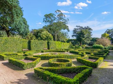 A garden with shaped hedges and benches surrounded by trees at Seascape in Kingsand